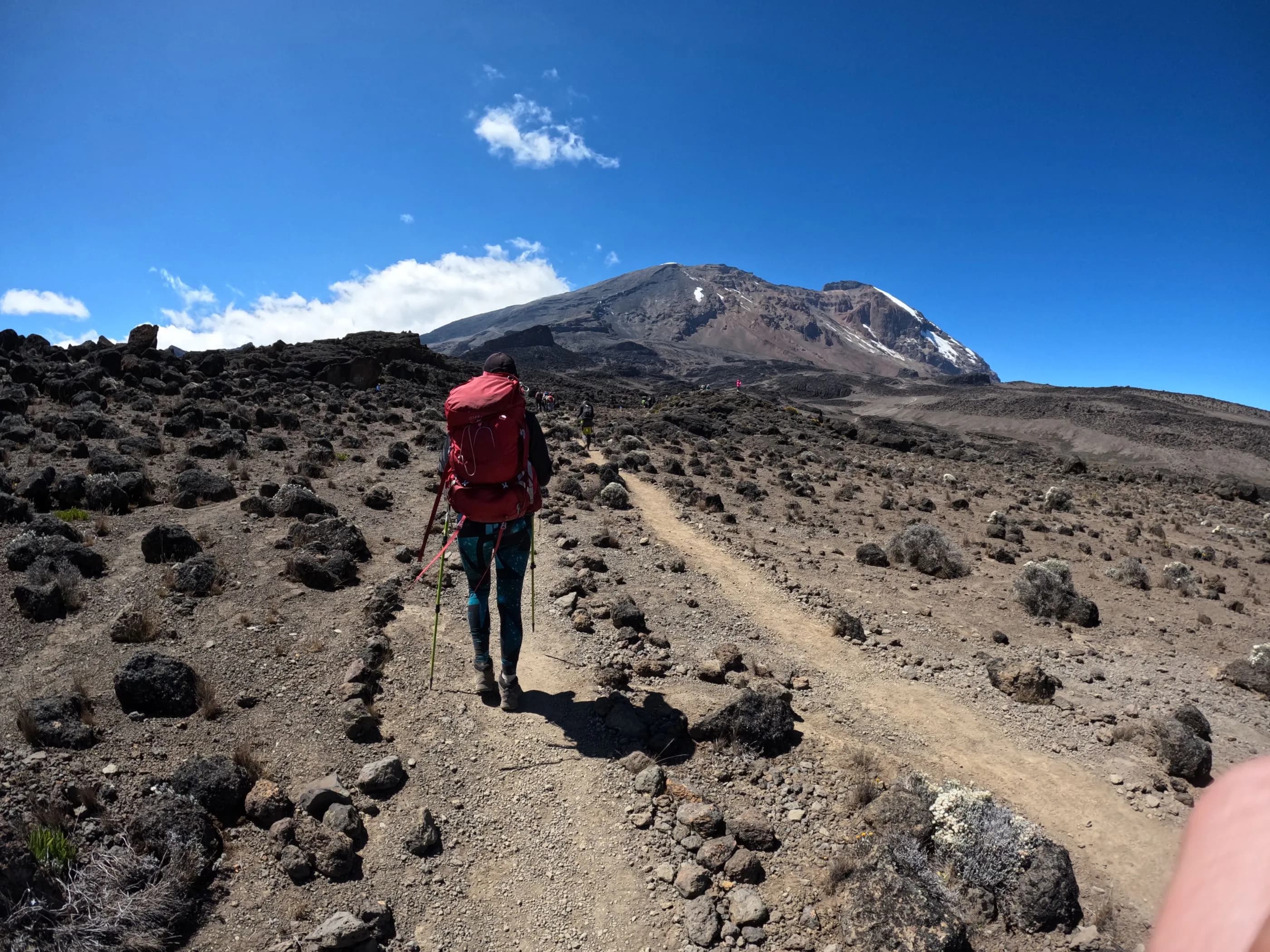Machame Route 6-Day Kilimanjaro Itinerary: Day-by-Day Guide