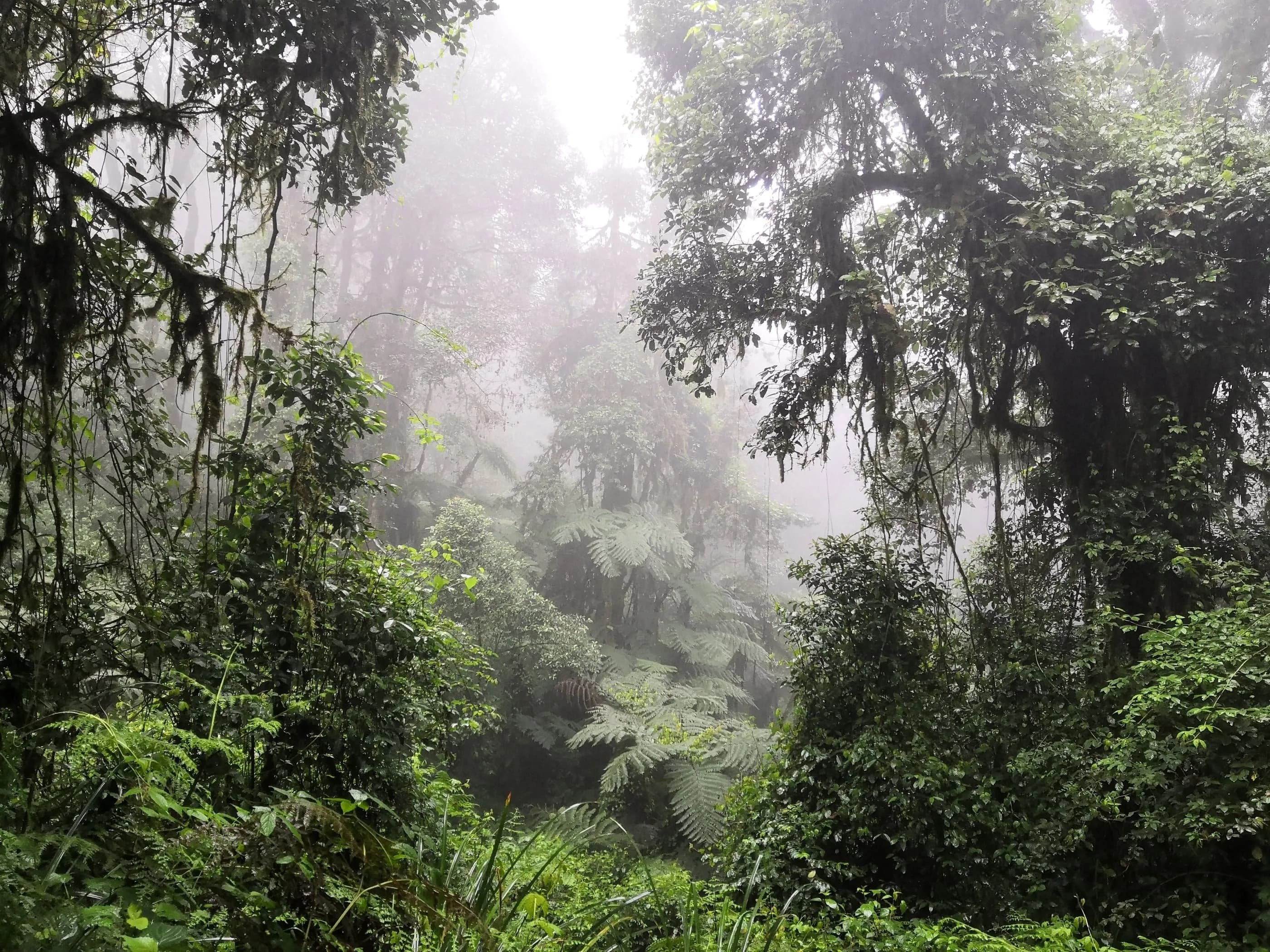 Beat Altitude Sickness and Reach the Roof of Africa