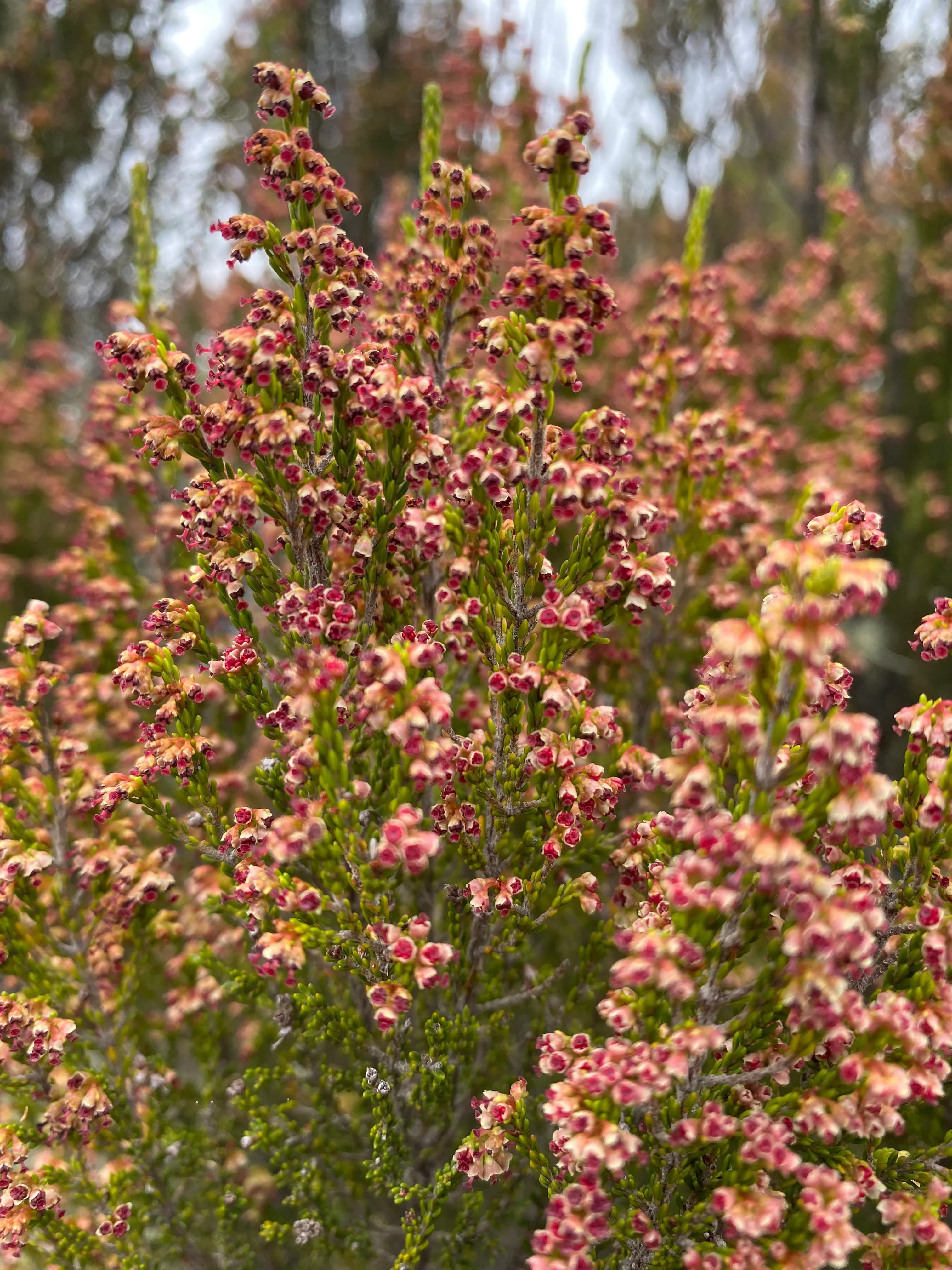 Kilimanjaro Day Trip Itinerary