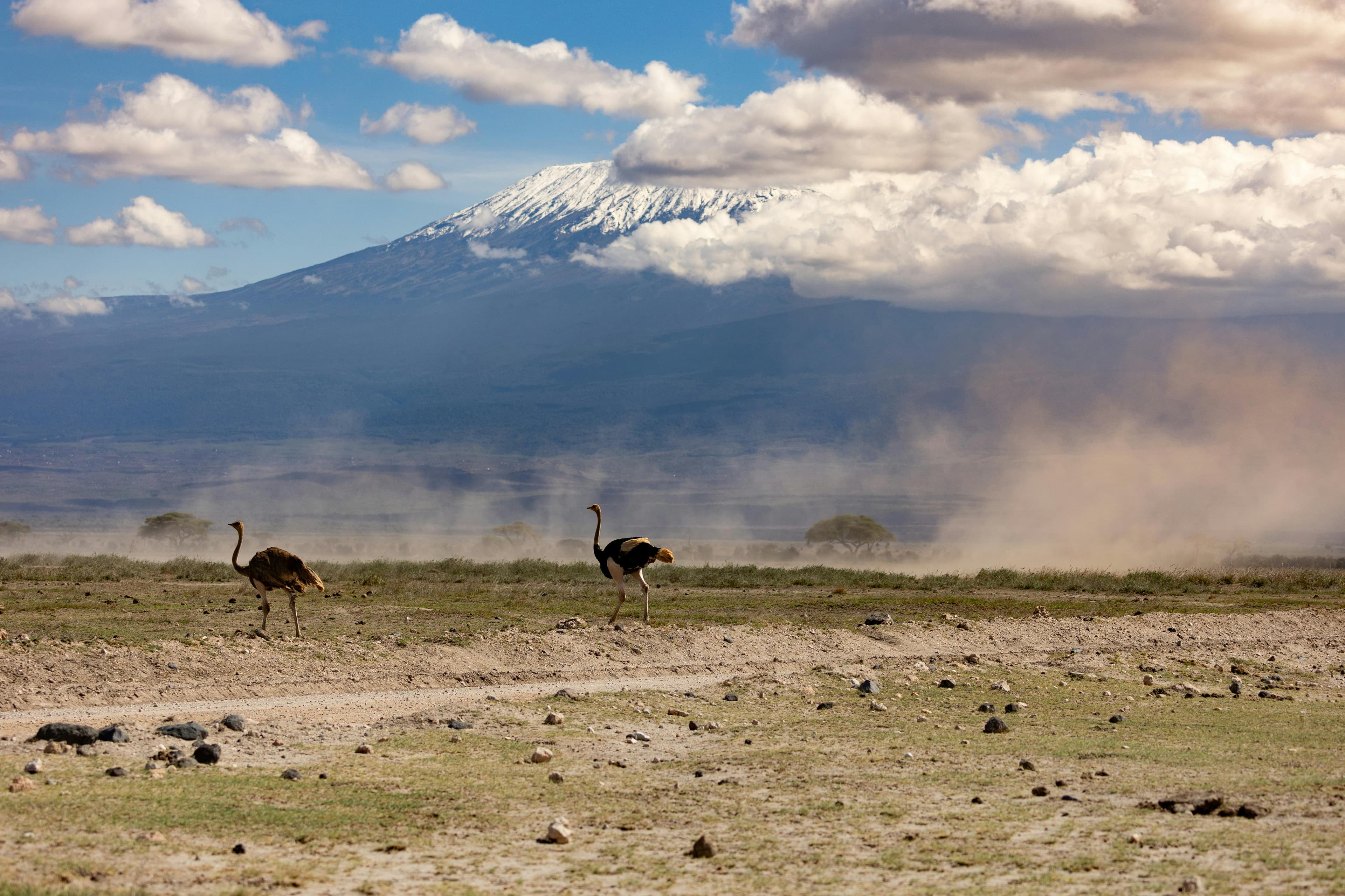 Mount Meru 3-Day Kilimanjaro Itinerary: Day-by-Day Guide